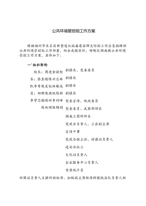 公共环境管控组工作方案.docx