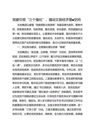 公司经验做法：党建引领“三个强化”撬动文旅经济增量空间.docx