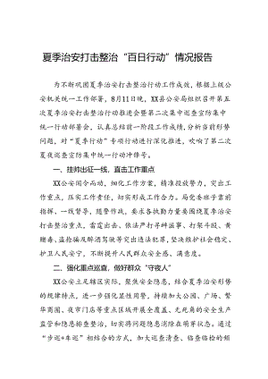公安深入推进夏季治安打击整治行动情况报告8篇.docx