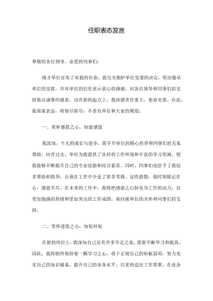 任职表态发言.docx
