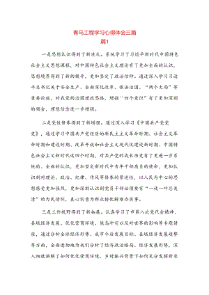 青马工程学习心得体会三篇.docx