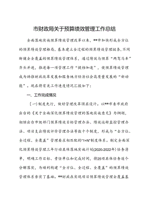 市财政局关于预算绩效管理工作总结.docx