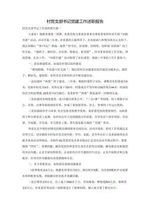 村党支部书记党建工作述职报告.docx