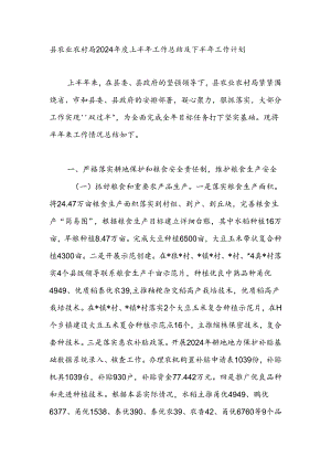 2024年度上半年县农业农村局工作总结及下半年工作计划.docx