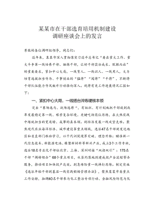某某市在干部选育培用机制建设调研座谈会上的发言.docx