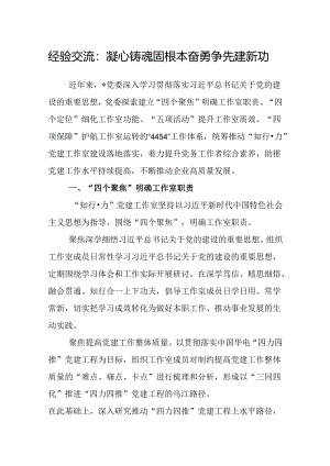 经验交流：凝心铸魂固根本 奋勇争先建新功.docx