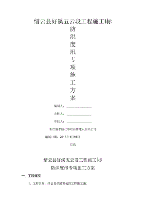 水利工程安全防洪度汛专项方案2016版.docx