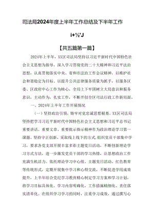 （5篇）司法局2024年度上半年工作总结及下半年工作计划.docx