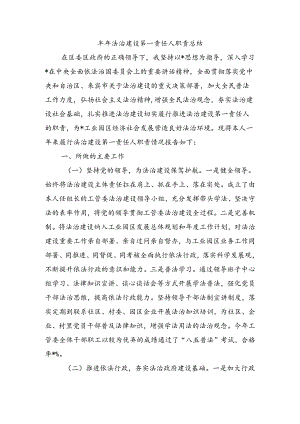 半年法治建设第一责任人职责总结.docx