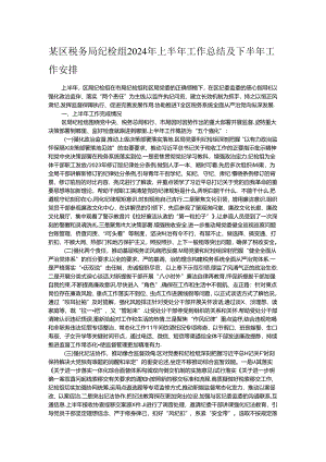 某区税务局纪检组2024年上半年工作总结及下半年工作安排.docx