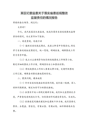 某区纪委监委关于落实省委巡视整改监督责任的情况报告.docx