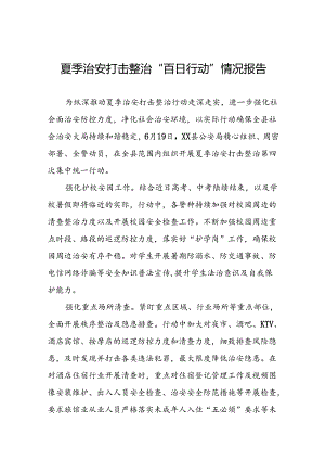 2024公安“夏季治安打击整治行动”情况报告七篇.docx