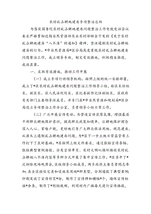 农村乱占耕地建房专项整治总结.docx
