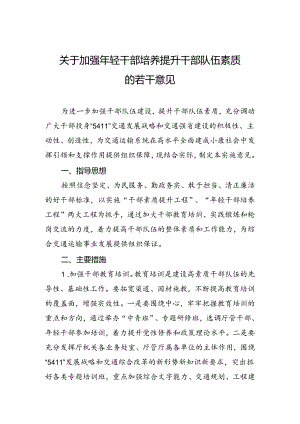 关于加强年轻干部培养提升干部队伍素质的若干意见.docx
