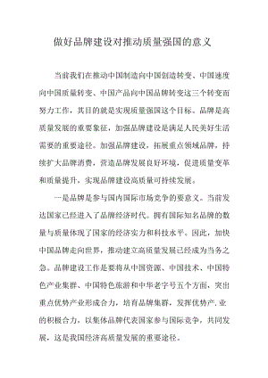 做好品牌建设对推动质量强国的意义.docx