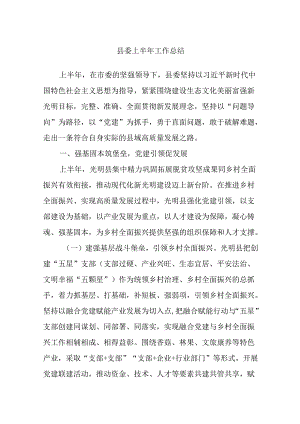 县委上半年工作总结.docx