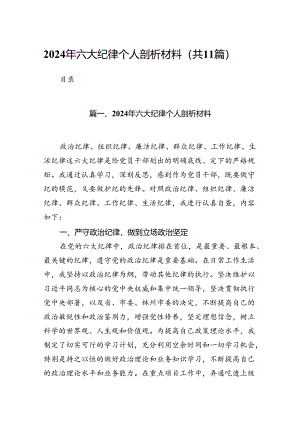 （11篇）2024年六大纪律个人剖析材料（精选）.docx
