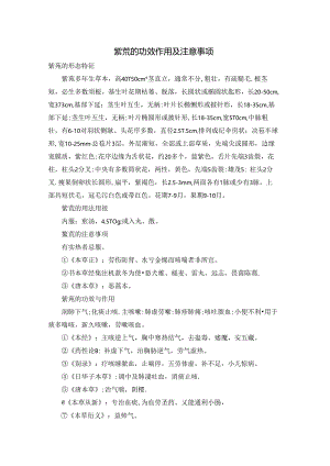 紫菀的功效作用及注意事项.docx