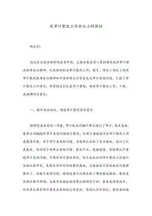 在审计整改工作会议上的讲话.docx