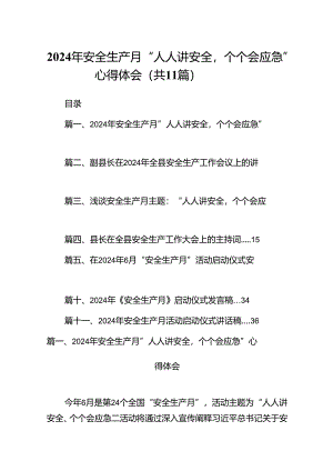（11篇）2024年安全生产月“人人讲安全个个会应急”心得体会汇编供参考.docx