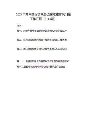 （16篇）2024年集中整治群众身边腐败和作风问题工作汇报（详细版）.docx