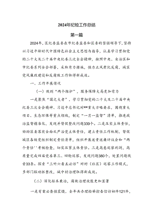 2024年纪检工作总结8篇.docx
