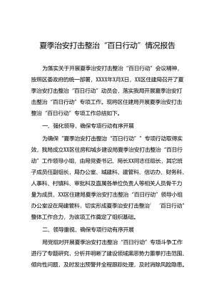 2024夏季治安打击整治“百日行动”工作总结七篇.docx