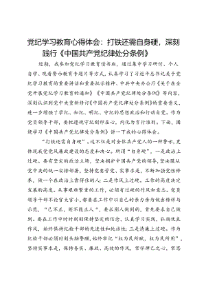 党纪学习教育心得体会：打铁还需自身硬深刻践行《中国共产党纪律处分条例》.docx