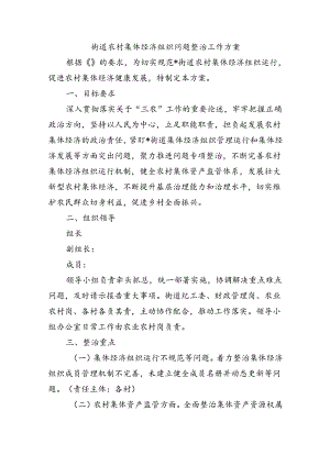街道农村集体经济组织问题整治工作方案.docx