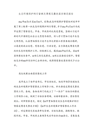 生态环境保护例行督察反馈意见整改落实情况报告.docx