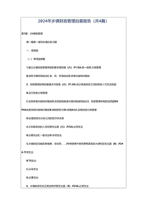 2024年乡镇财政管理自查报告（共4篇）.docx