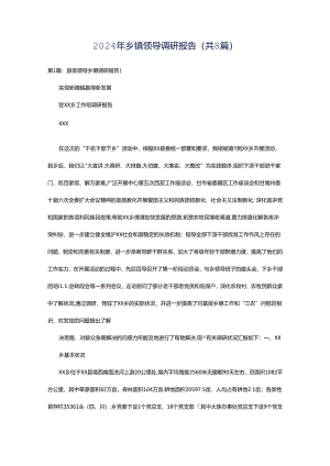 2024年乡镇领导调研报告（共8篇）.docx