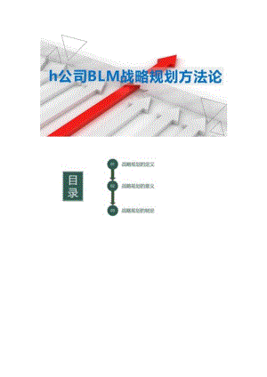 h公司BLM战略规划方法论.docx