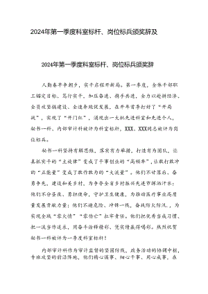 2024年第一季度科室标杆、岗位标兵颁奖辞及发言稿.docx
