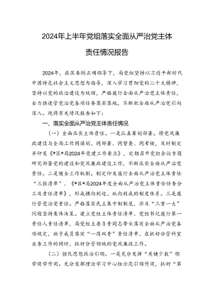 2024年上半年党组落实全面从严治党主体责任情况报告.docx