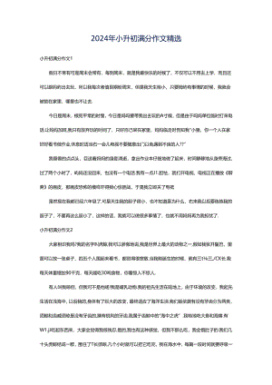 2024年小升初满分作文精选.docx