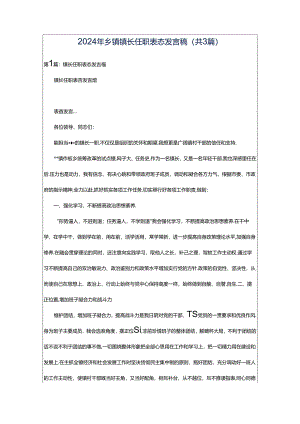 2024年乡镇镇长任职表态发言稿（共3篇）.docx