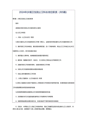 2024年乡镇卫生院公卫科长岗位职责（共5篇）.docx