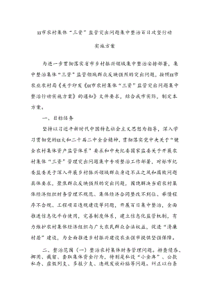 xx市农村集体“三资”监管突出问题集中整治百日攻坚行动实施方案.docx