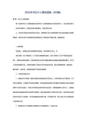 2024年书记个人整改措施（共5篇）.docx