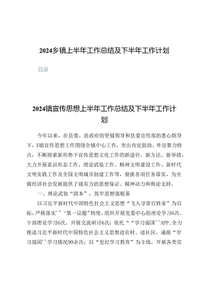 2024乡镇上半年工作总结材料3篇.docx