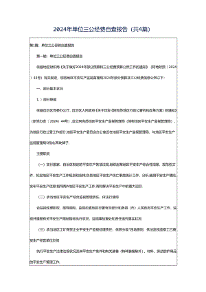 2024年单位三公经费自查报告（共4篇）.docx