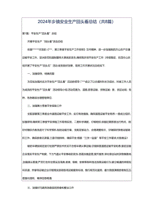 2024年乡镇安全生产回头看总结（共8篇）.docx