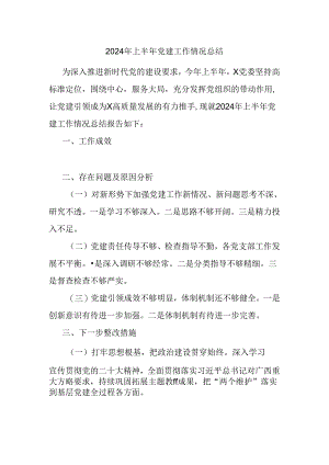 2024年上半年党建工作情况总结.docx