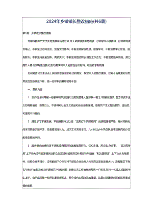 2024年乡镇镇长整改措施（共6篇）.docx