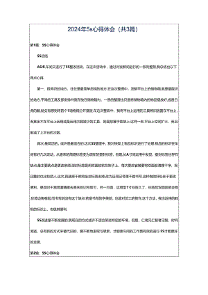 2024年5s心得体会（共3篇）.docx
