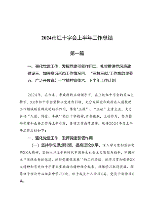 2024市红十字会上半年工作总结3篇.docx