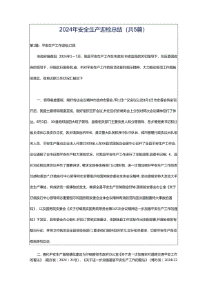 2024年安全生产迎检总结（共5篇）.docx