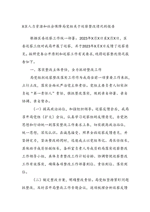 X区人力资源和社会保障局党组关于巡察整改情况的报告.docx
