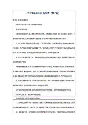 2024年半年自查报告（共7篇）.docx